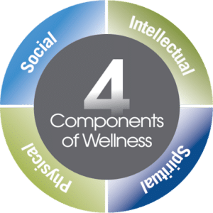 4 Components of Wellness